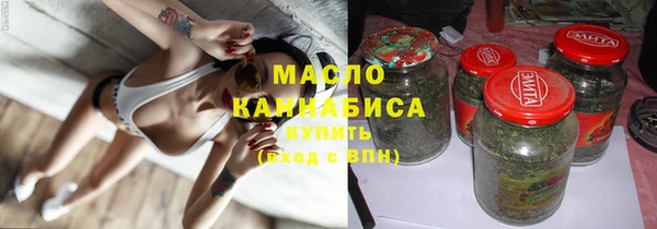 индика Осинники