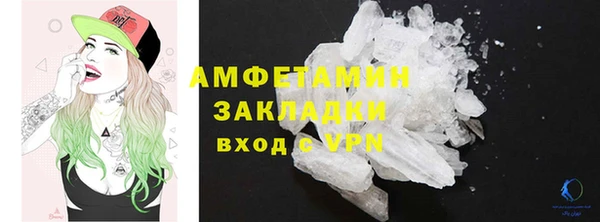 индика Осинники