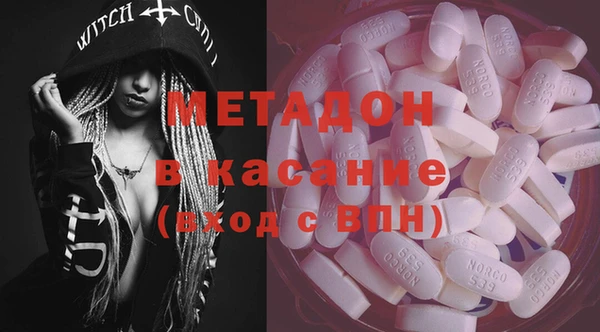 индика Осинники