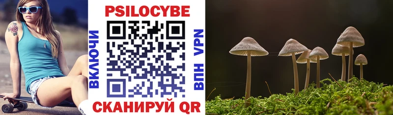 Галлюциногенные грибы Cubensis Лесной