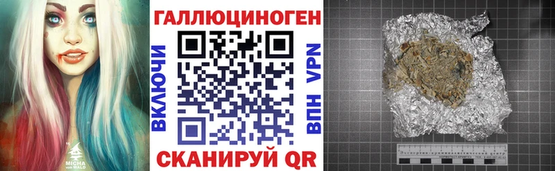 блэк спрут ссылка  Лесной  Галлюциногенные грибы Cubensis 